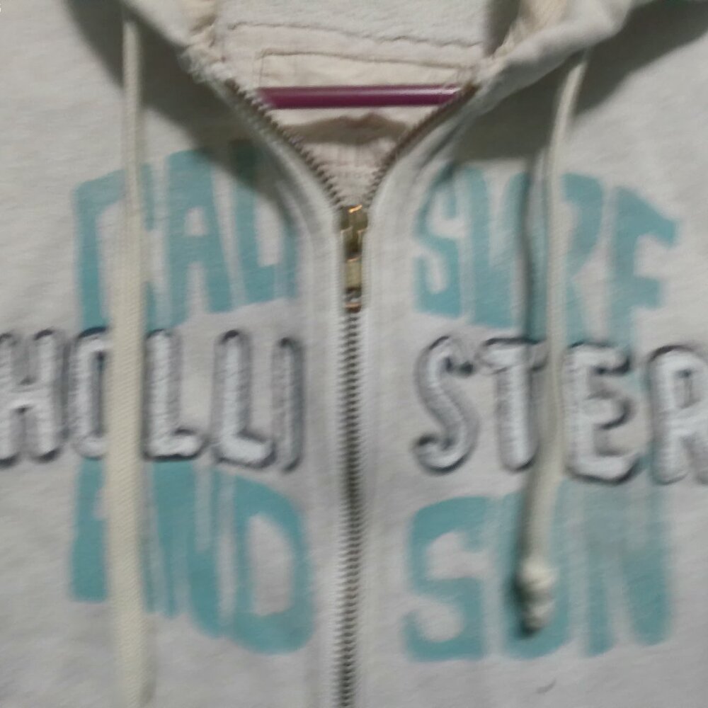 Vintage Hollister  Hoodie  Jacket L